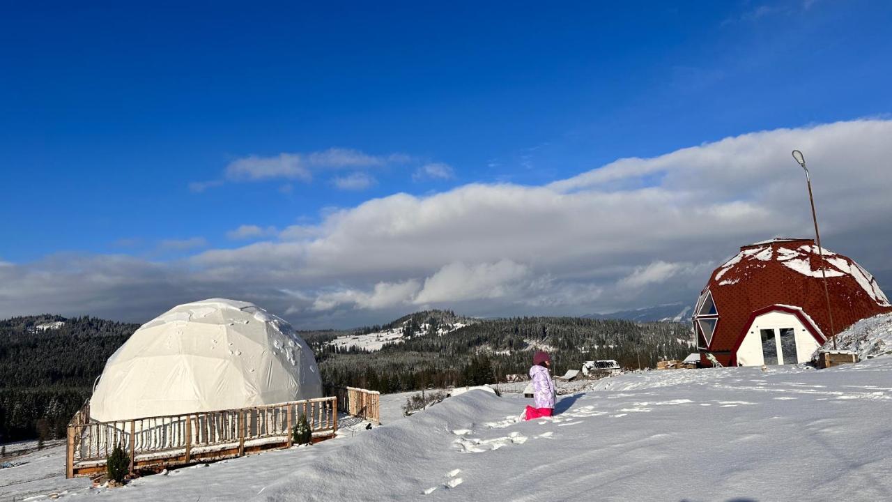 Dorna Iglu Luxury Glamping Resort Dorna Cindrenilor Exterior photo